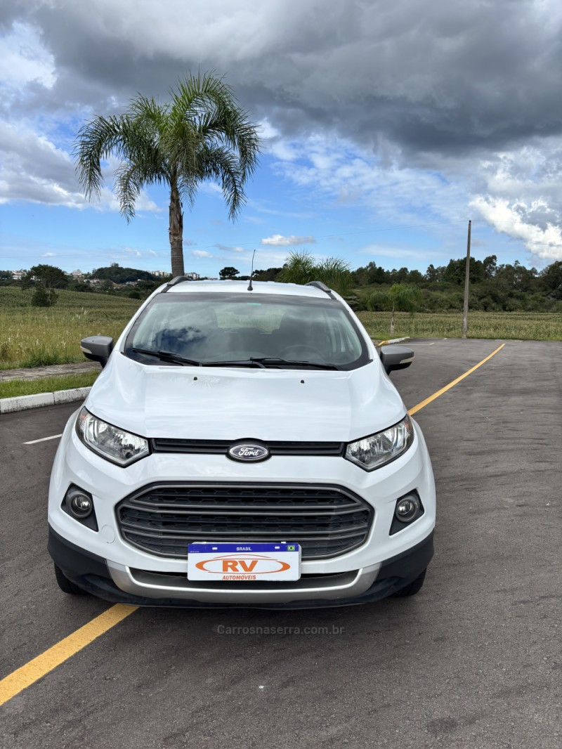 ECOSPORT 1.6 FREESTYLE 8V FLEX 4P MANUAL - 2015 - CARLOS BARBOSA
