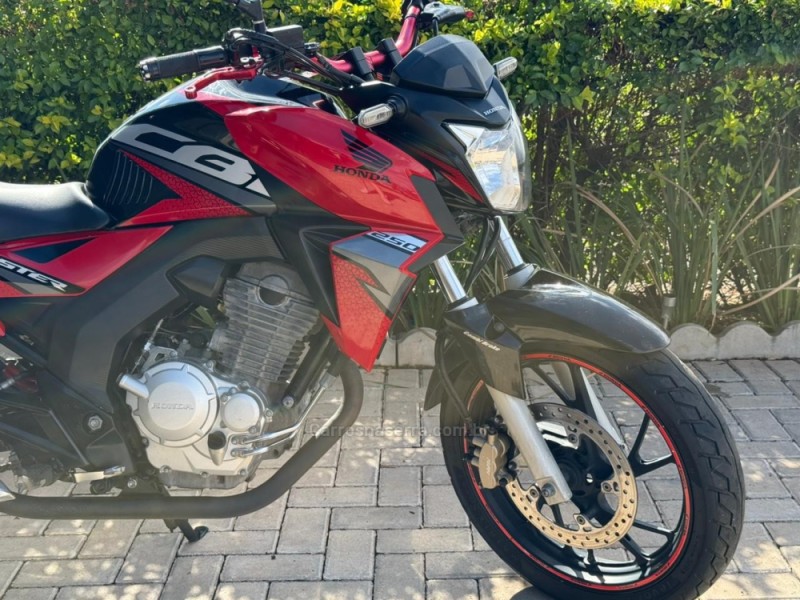 CB 250F TWISTER CBS - 2019 - VACARIA