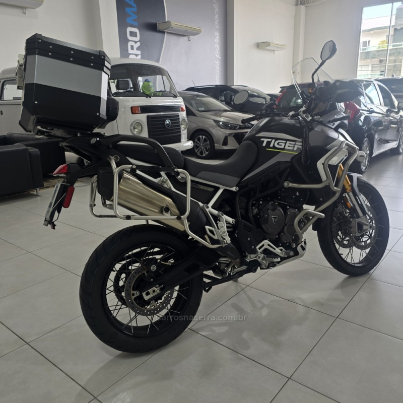 TIGER 900 RALLY ARAGÓN  - 2024 - SANTA CRUZ DO SUL