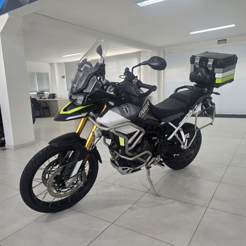 tiger 900 rally aragon  2024 santa cruz do sul