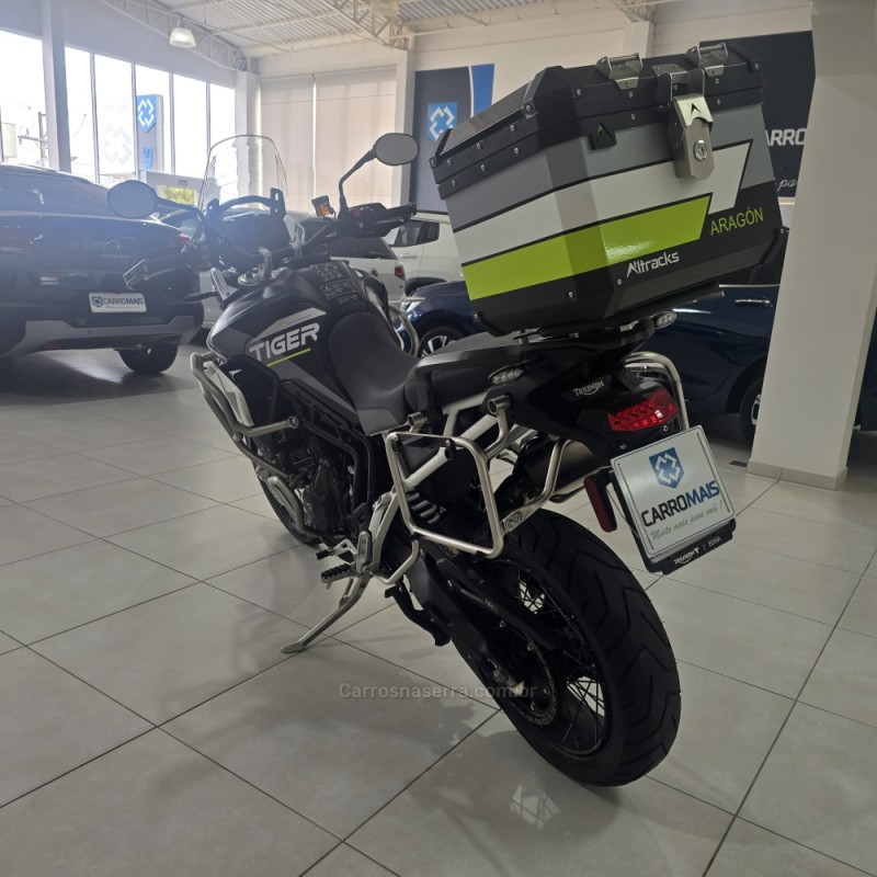 TIGER 900 RALLY ARAGÓN  - 2024 - SANTA CRUZ DO SUL