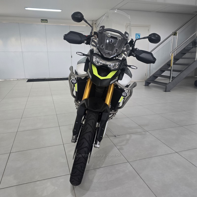 TIGER 900 RALLY ARAGÓN  - 2024 - SANTA CRUZ DO SUL