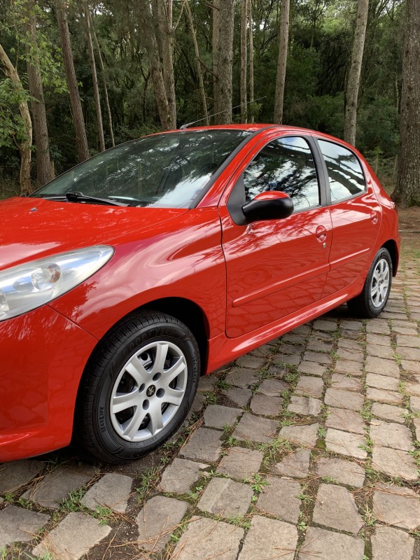 207  - 2014 - CAXIAS DO SUL