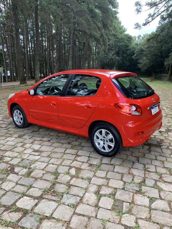 207  - 2014 - CAXIAS DO SUL