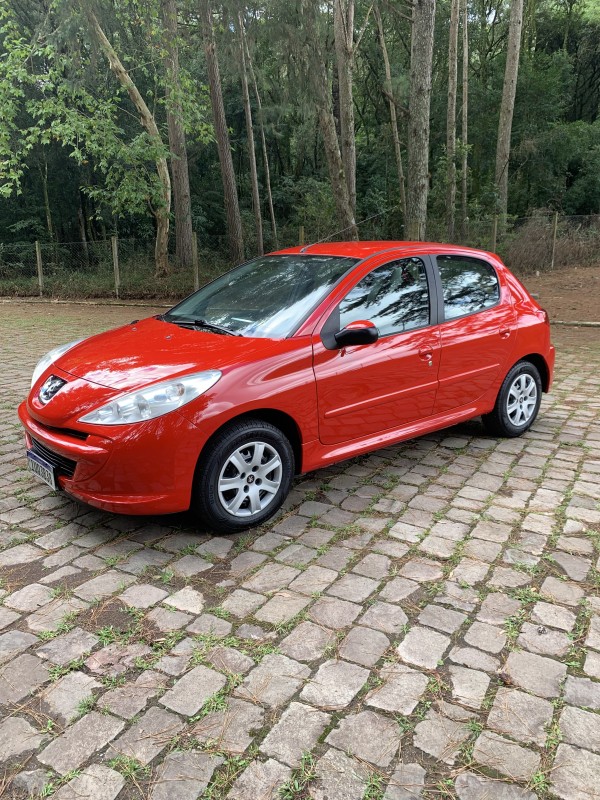 207  2014 caxias do sul