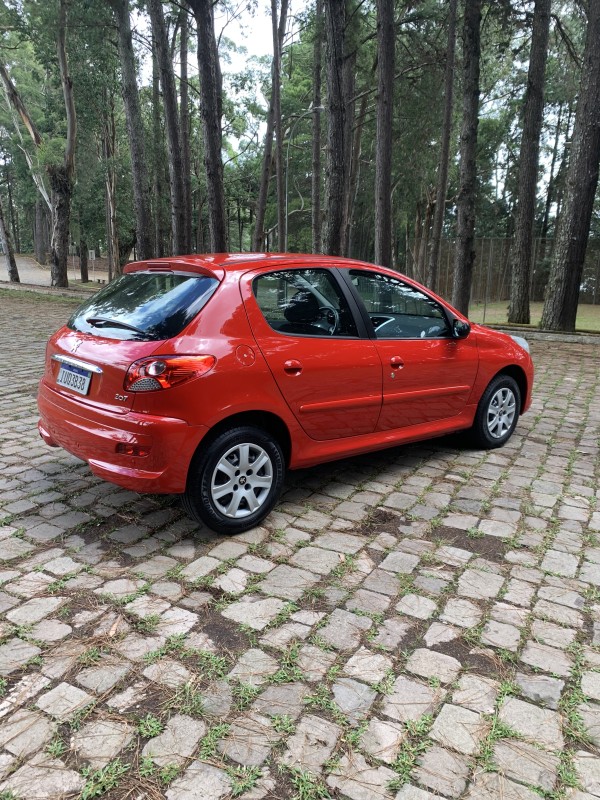 207  - 2014 - CAXIAS DO SUL