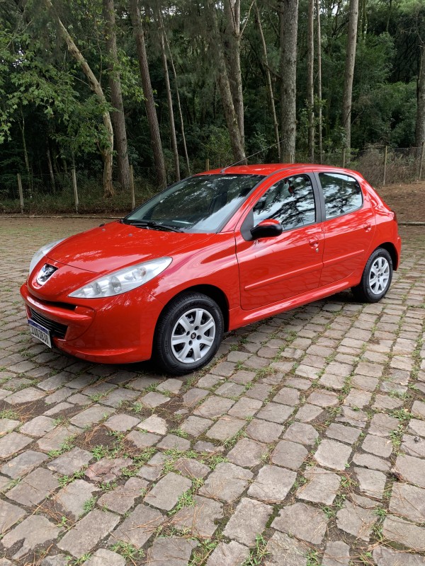 207  - 2014 - CAXIAS DO SUL