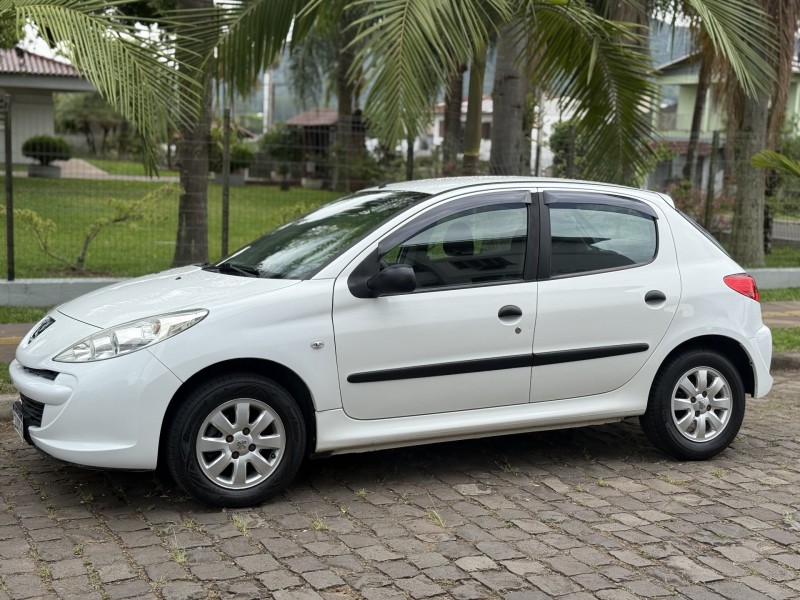 207 1.4 BLUE LION 8V FLEX 4P MANUAL - 2013 - FELIZ