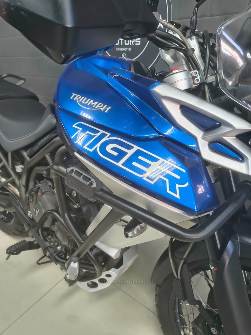TIGER 800 XCX  - 2019 - CAXIAS DO SUL