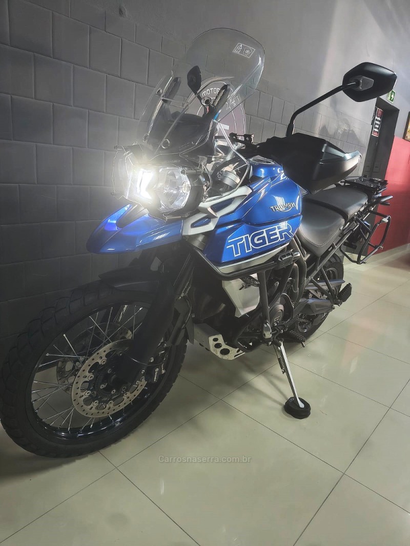 TIGER 800 XCX  - 2019 - CAXIAS DO SUL