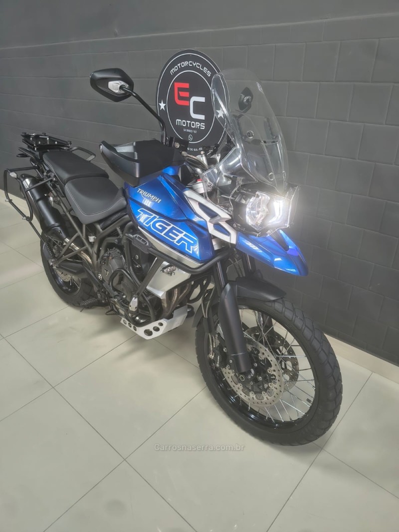 TIGER 800 XCX  - 2019 - CAXIAS DO SUL