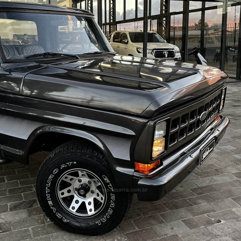 F-1000 3.9 SUPER SÉRIE CS 8V DIESEL 2P MANUAL - 1980 - VACARIA