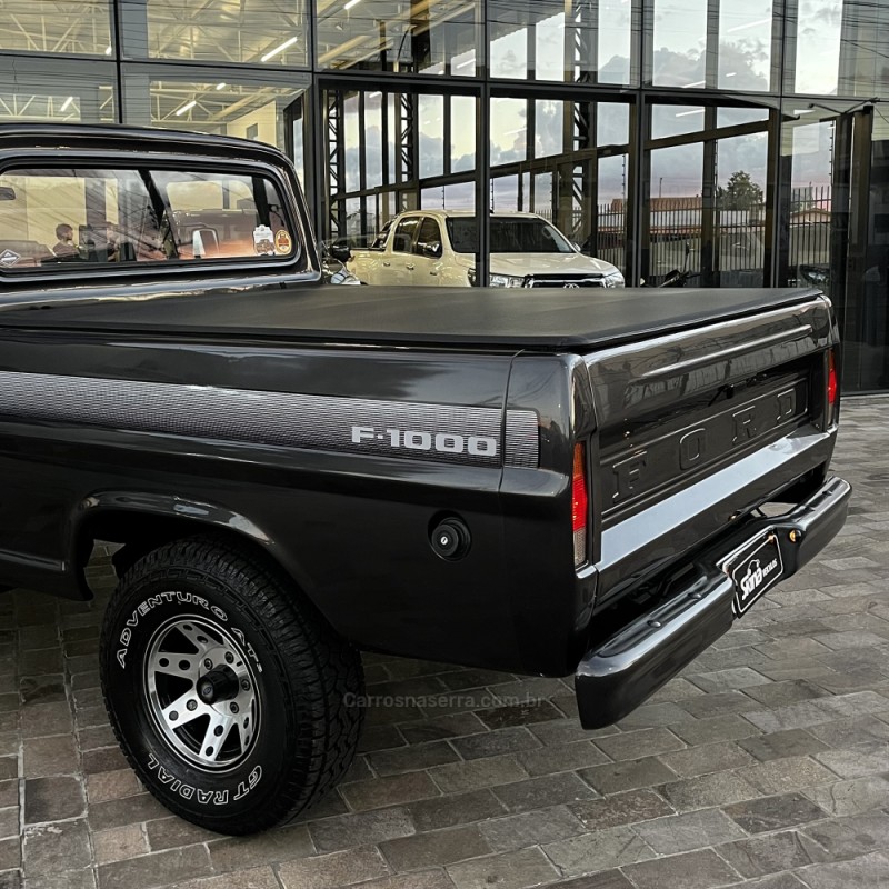 F-1000 3.9 SUPER SÉRIE CS 8V DIESEL 2P MANUAL - 1980 - VACARIA