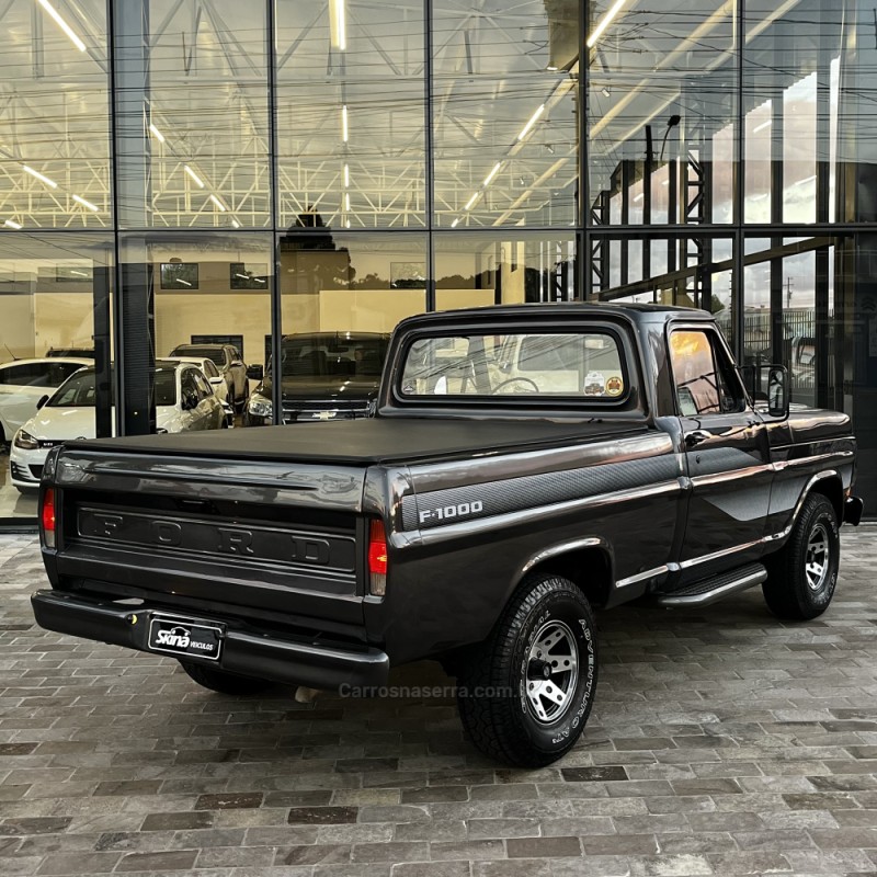 F-1000 3.9 SUPER SÉRIE CS 8V DIESEL 2P MANUAL - 1980 - VACARIA
