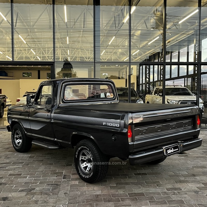F-1000 3.9 SUPER SÉRIE CS 8V DIESEL 2P MANUAL - 1980 - VACARIA