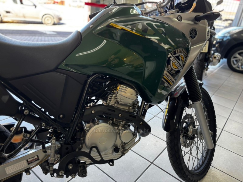 XTZ 250 TÉNÉRÉ BLUEFLEX - 2018 - CAXIAS DO SUL