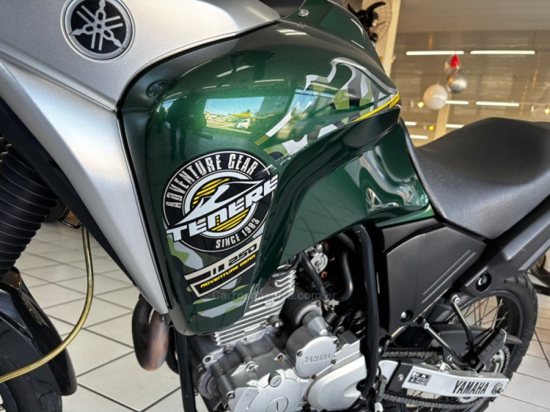 XTZ 250 TÉNÉRÉ BLUEFLEX - 2018 - CAXIAS DO SUL