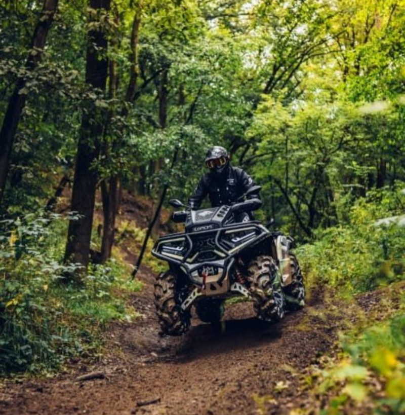 WOLF 700 MUD  - 2026 - VERANóPOLIS