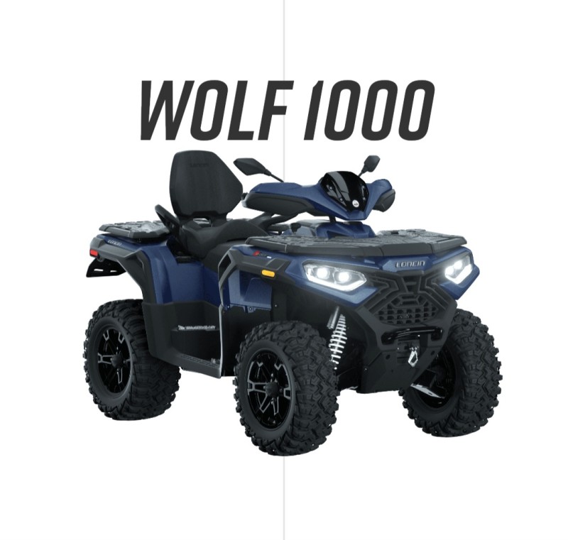 WOLF 1000  - 2026 - VERANóPOLIS
