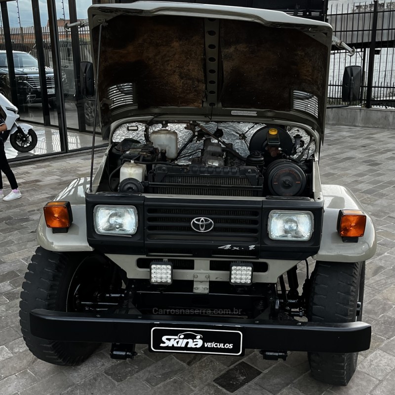 BANDEIRANTE 3.7 BJ55LP-BL3 4X4 CS DIESEL 2P MANUAL - 1996 - VACARIA