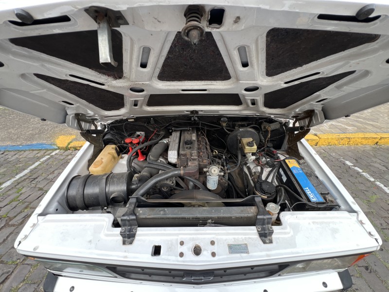 D20 4.0 CUSTOM DE LUXE CD 8V TURBO DIESEL 3P MANUAL - 1994 - GARIBALDI