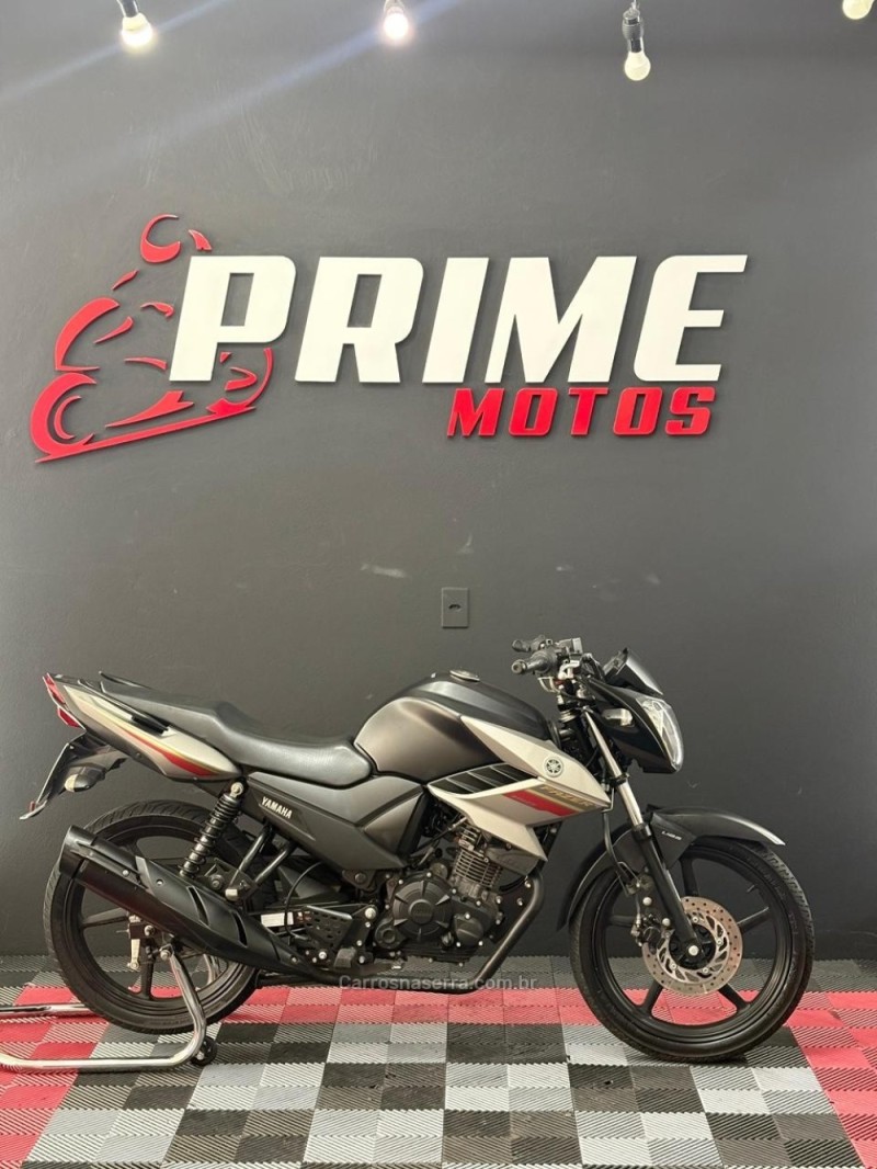 FAZER  - 2021 - NOVO HAMBURGO