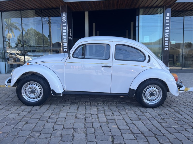 fusca 1.6 8v gasolina 2p manual 1995 veranopolis