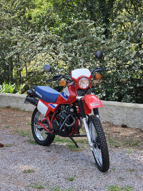 XLX 250R  - 1987 - ANTôNIO PRADO