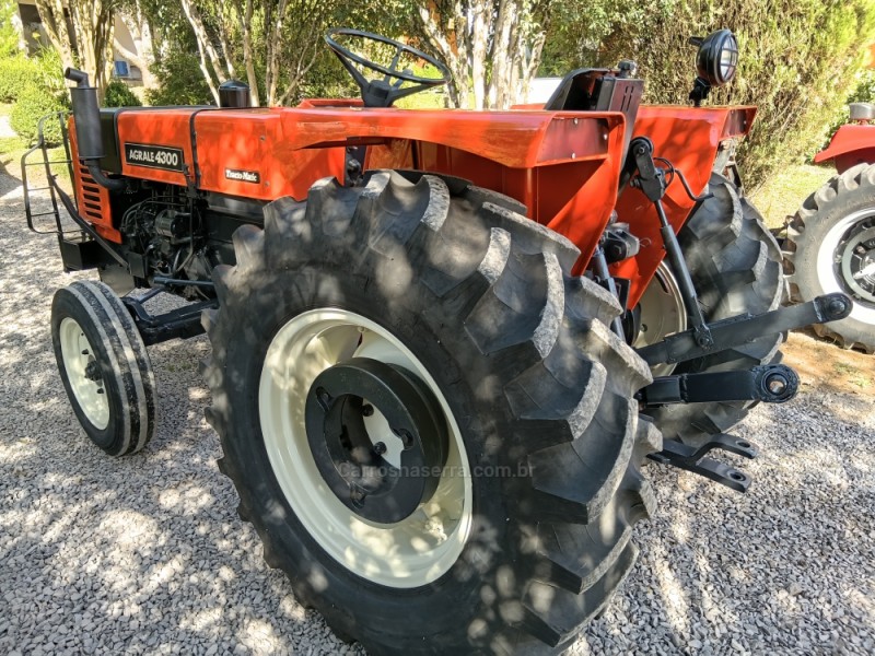 TRATOR 4300  - 1982 - BENTO GONçALVES