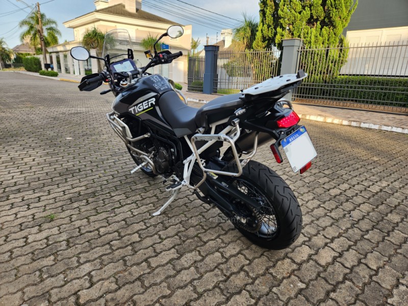 TIGER 900 RALLY ARAGÓN  - 2024 - MONTENEGRO