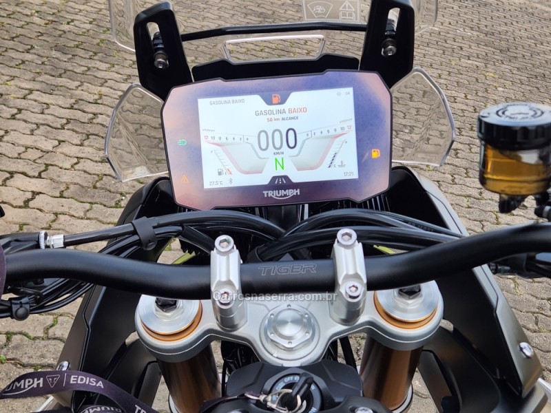 TIGER 900 RALLY ARAGÓN  - 2024 - MONTENEGRO