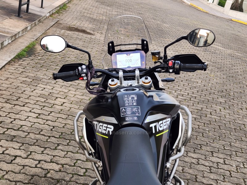 TIGER 900 RALLY ARAGÓN  - 2024 - MONTENEGRO