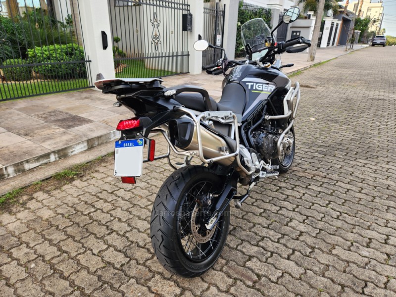 TIGER 900 RALLY ARAGÓN  - 2024 - MONTENEGRO