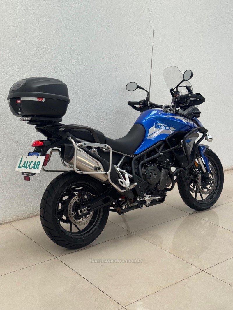 TIGER 900 GT PRO  - 2023 - CASCA