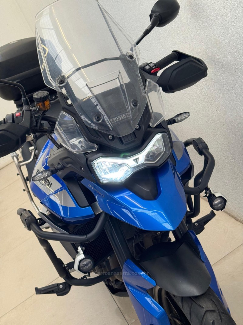 TIGER 900 GT PRO  - 2023 - CASCA