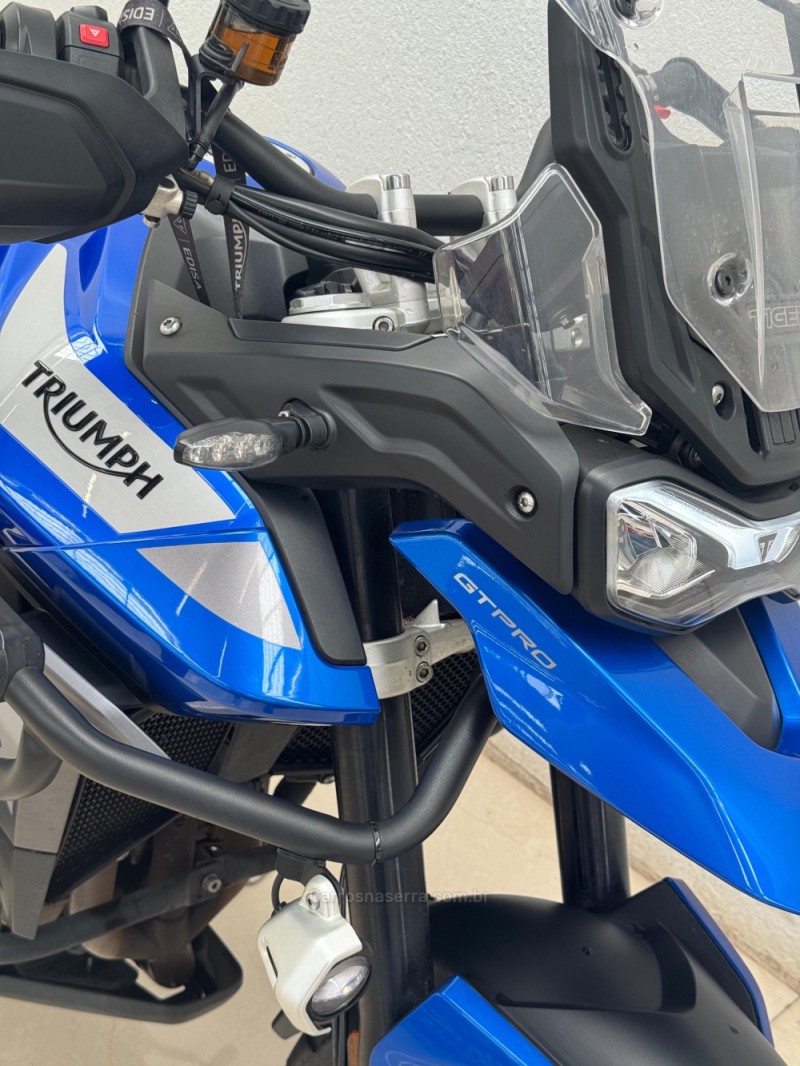 TIGER 900 GT PRO  - 2023 - CASCA