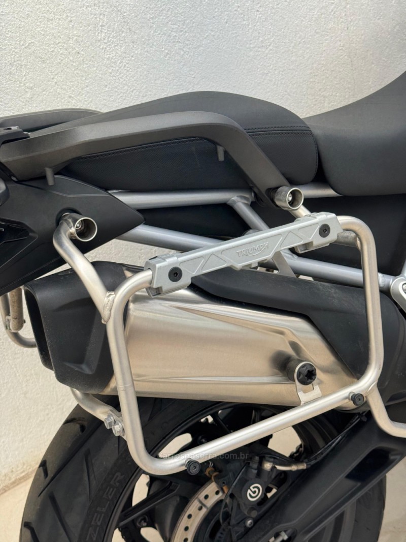 TIGER 900 GT PRO  - 2023 - CASCA