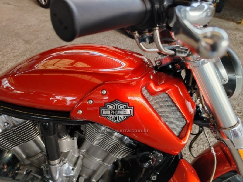 V-ROD MUSCLE  - 2013 - CAXIAS DO SUL