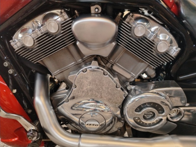 V-ROD MUSCLE  - 2013 - CAXIAS DO SUL