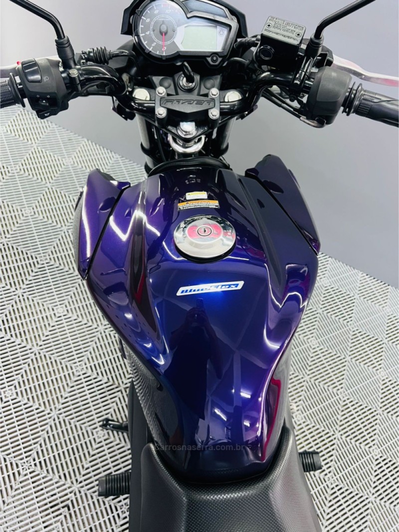 FAZER YS 150 SED - 2024 - CAMPO BOM