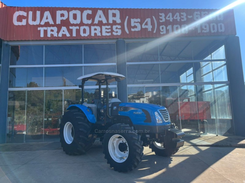 plus 80  2019 guapore