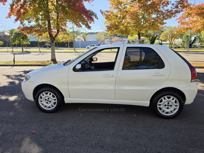 PALIO 1.0 MPI FIRE ECONOMY 8V FLEX 4P MANUAL - 2010 - BENTO GONçALVES