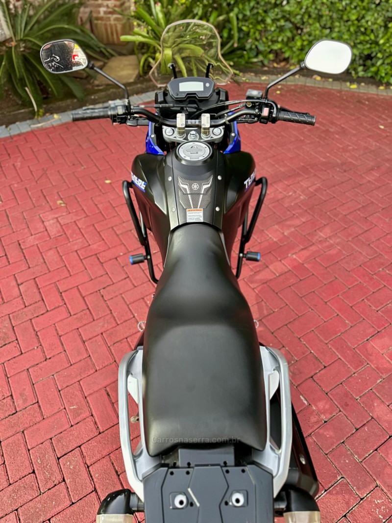 XTZ 250 TÉNÉRÉ BLUEFLEX - 2019 - ROLANTE