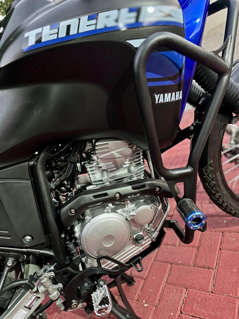 XTZ 250 TÉNÉRÉ BLUEFLEX - 2019 - ROLANTE