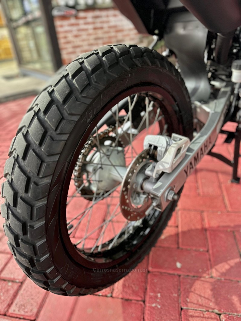 XTZ 250 TÉNÉRÉ BLUEFLEX - 2019 - ROLANTE