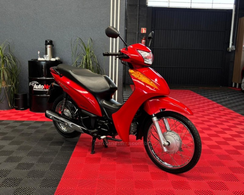 BIZ 100 ES - 2014 - VACARIA