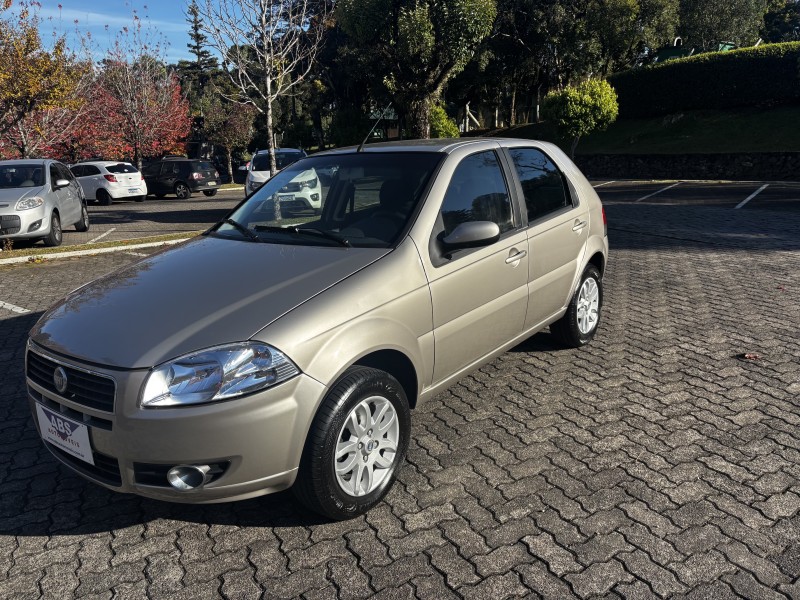 PALIO 1.4 MPI ELX 8V FLEX 4P MANUAL - 2008 - CAXIAS DO SUL