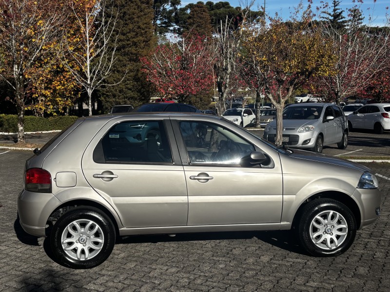 PALIO 1.4 MPI ELX 8V FLEX 4P MANUAL - 2008 - CAXIAS DO SUL