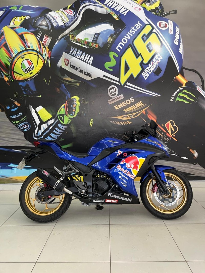 NINJA 300 
