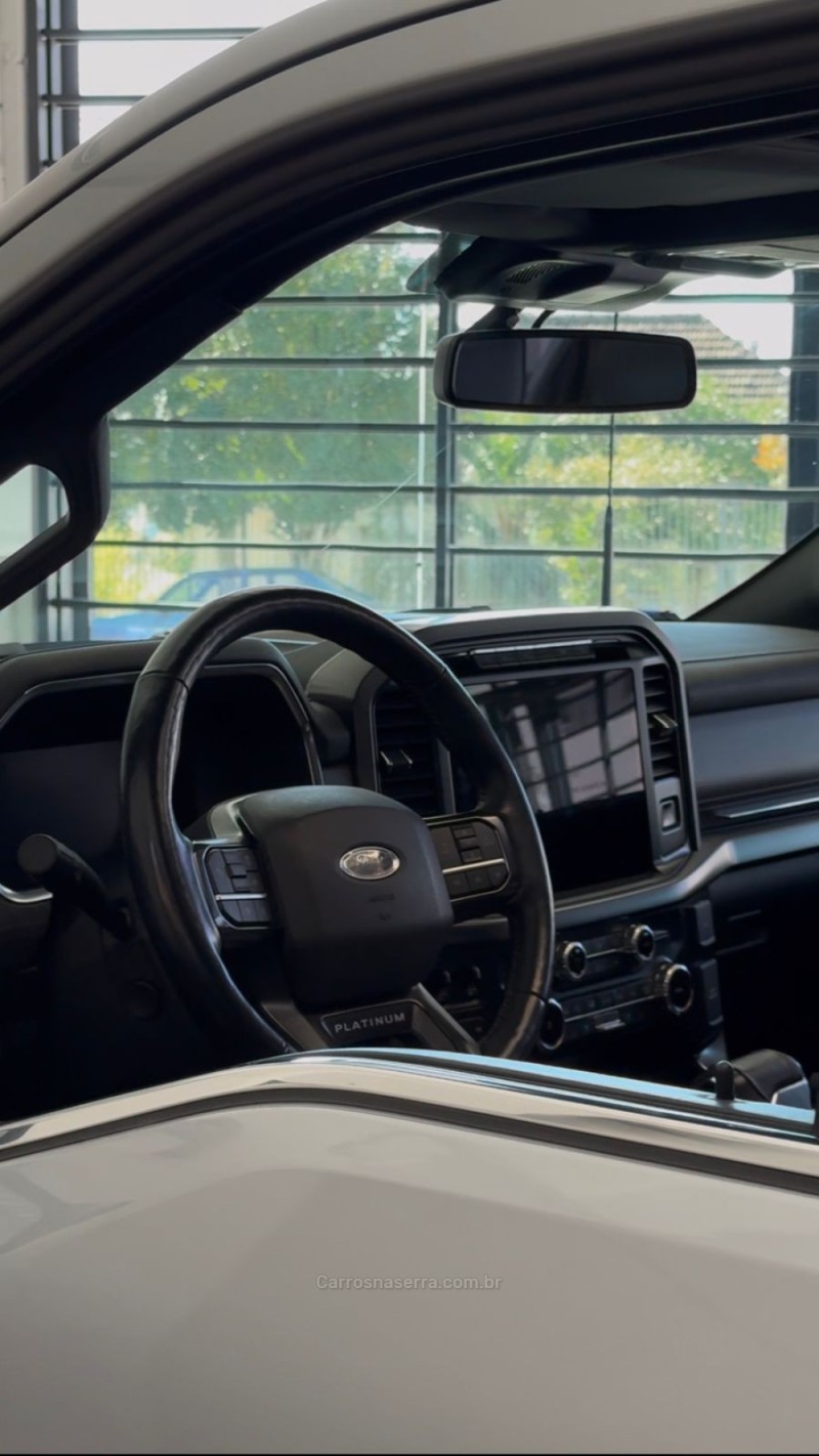 F-150 5.0 PLATINUM 4X4 V8 16V GASOLINA 4P AUTOMÁTICO - 2023 - BENTO GONçALVES
